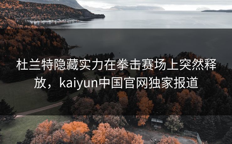 杜兰特隐藏实力在拳击赛场上突然释放，kaiyun中国官网独家报道